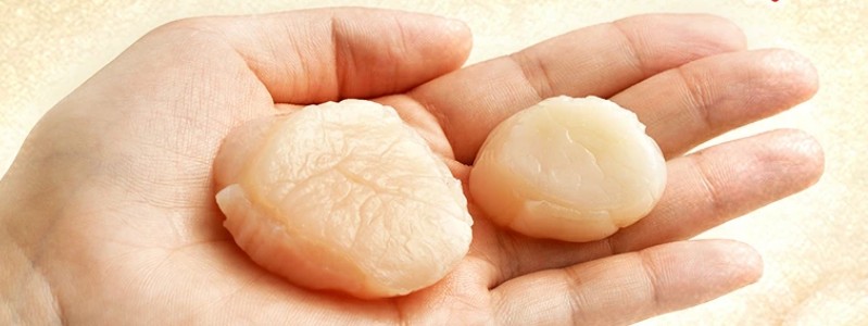 ���l �󏭂ȓ��� �W�����{�T�C�Y �z�^�e�L�� 1kg
���T�C�g